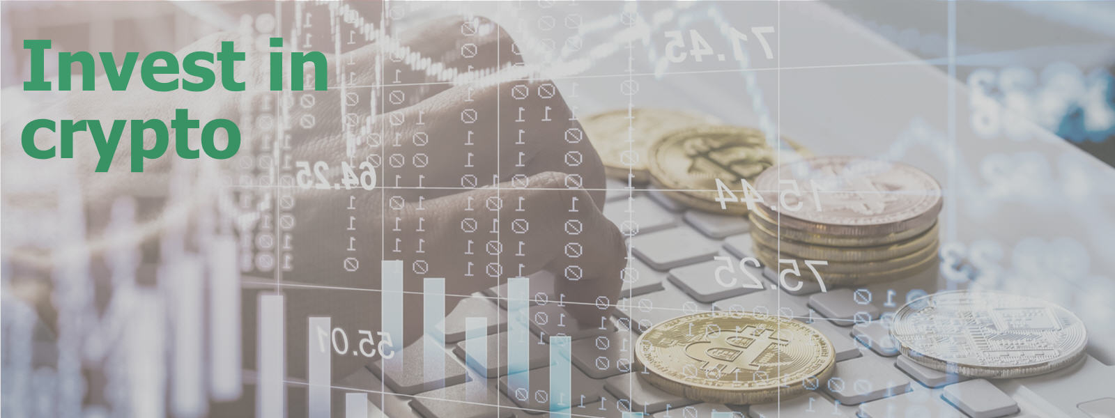 Free trading newsletter