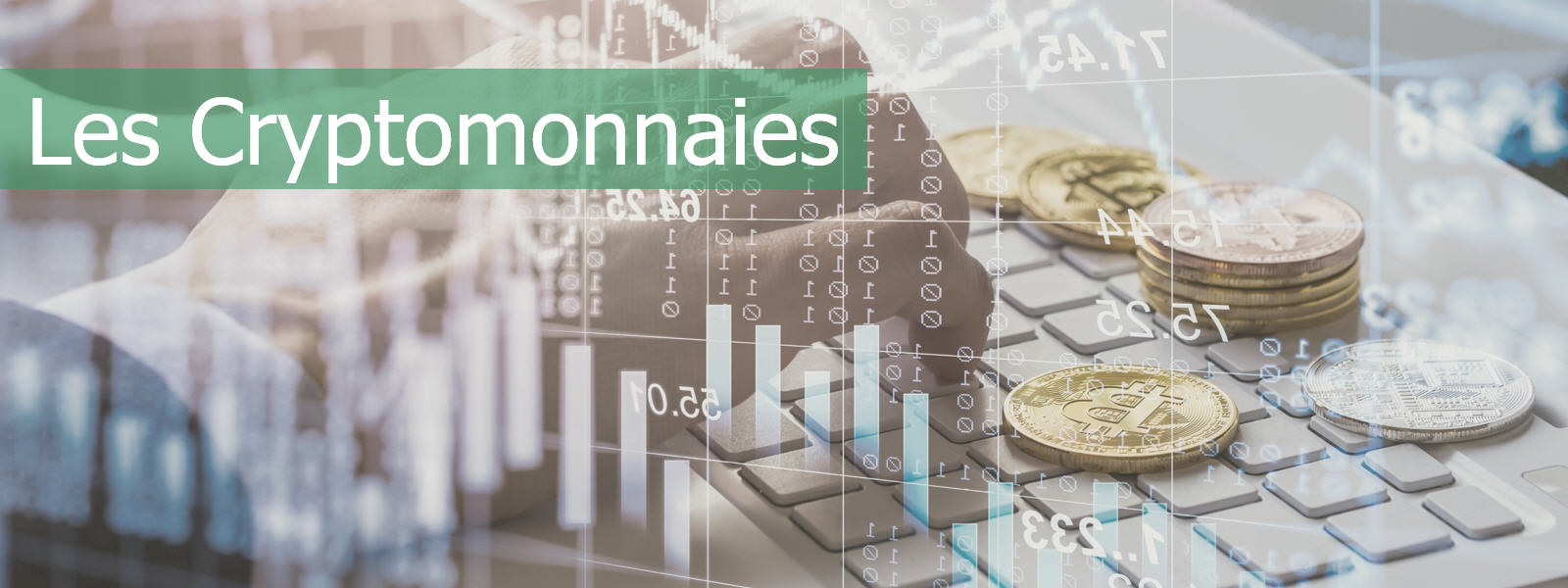 Free trading newsletter